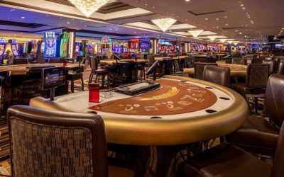 Choosing Your Next Online Casino: Why Vegashero Should Be on Your Radar