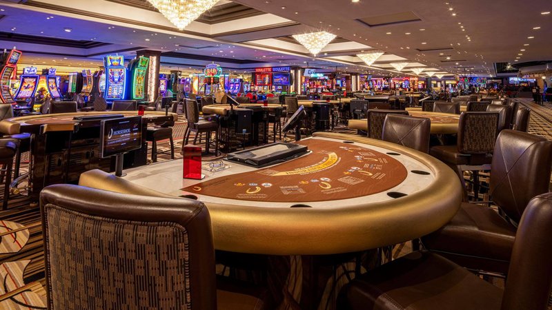 Choosing Your Next Online Casino: Why Vegashero Should Be on Your Radar